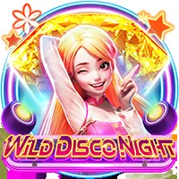 Wild Disco Night