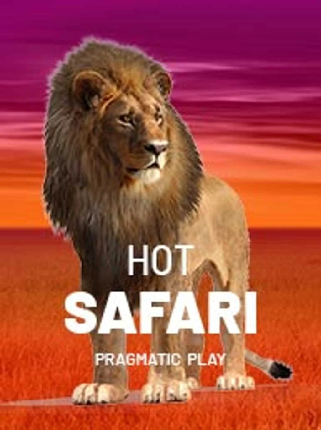 Hot Safari