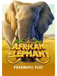 African Elephant