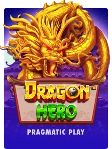 Dragon Hero