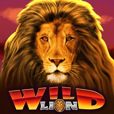 Wild Lion