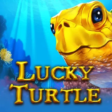 Lucky Turtle